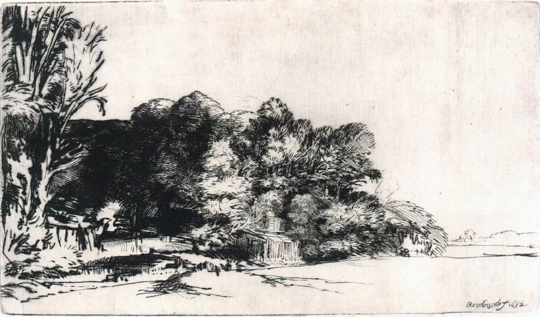 Ciuffo di alberi con vista - Teylers Museum, Haarlem